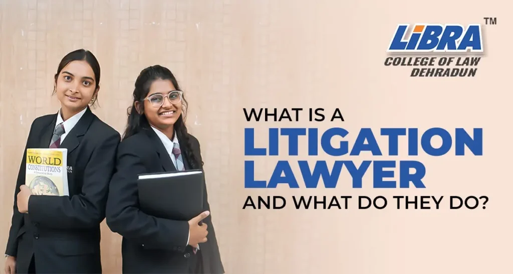 litigation lawyer and their role